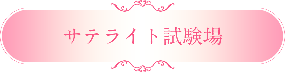 サテライト試験場