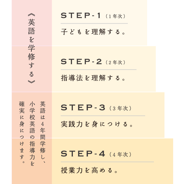 STEP-1：子どもを理解する。 STEP-2：指導法を理解する。 STEP-3：実践力を身につける。 STEP-4：授業力を高める。 《英語を学修する》 英語は4年間学修し、小学校英語の指導力を確実に身につけます。